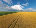 Aerial view wheat, corn and sunflower fields, stormy clouds and rainbow in the sky Royalty Free Stock Photo
