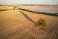 Aerial view of the wheat field in the farmlands at a soft sunlight