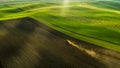 Aerial view of wheat fields and crops in the summer with tractor on work Royalty Free Stock Photo