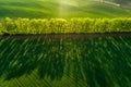 Aerial view of wheat fields and green trees in Moravia Royalty Free Stock Photo