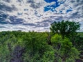 Aerial view of white clouds in a blue sky over tall trees