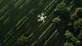 Drone flying over lush green forest in the daylight Royalty Free Stock Photo