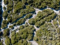 Aerial view on white limestone cliffs, cliffs. Bonifacio. Corsica, France.