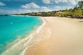 Aerial view of white sandy beach, ocean with waves at sunset Royalty Free Stock Photo