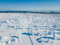 Aerial view of white winter forest with snow covered trees and rural road in Finland Royalty Free Stock Photo