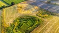 Aerial view of wide rice field on a sunny day Royalty Free Stock Photo