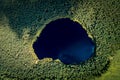 Aerial view of wild forest lake Royalty Free Stock Photo