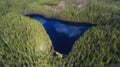 Aerial view of wild forest lake. Sunny summer day. Royalty Free Stock Photo