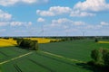 Aerial view Wind turbine on grassy yellow farm canola field against cloudy blue sky in rural area. Offshore windmill Royalty Free Stock Photo