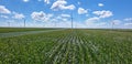 Aerial view of wind turbines in corn field Royalty Free Stock Photo