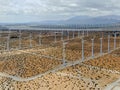 Aerial view of wind turbines spreading over the desert in Palm Springs wind farm Royalty Free Stock Photo