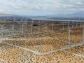 Aerial view of wind turbines spreading over the desert in Palm Springs wind farm Royalty Free Stock Photo