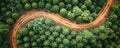 Aerial view of winding dirt road cutting through lush green forest with succulent plants showcasing contrast between Royalty Free Stock Photo