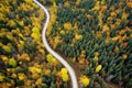 aerial view of a winding forest trail