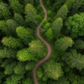 Aerial View of Winding Path Through Lush Green Forest Royalty Free Stock Photo
