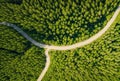 Aerial view of a winding path through a vast bamboo forest, exuding a sense of mystery. AI generated.