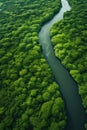 Aerial view of a winding river cutting through a dense, lush green forest Royalty Free Stock Photo