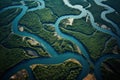 Aerial View of Winding River Deltas Royalty Free Stock Photo