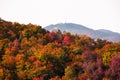 Aerial view of winding river in Laurentian mountains, Quebec, Canada during the fall foliage Royalty Free Stock Photo