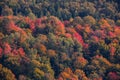 Aerial view of winding river in Laurentian mountains, Quebec, Canada during the fall foliage Royalty Free Stock Photo