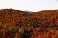 Aerial view of winding river in Laurentian mountains, Quebec, Canada during the fall foliage Royalty Free Stock Photo