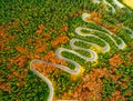 Aerial view of winding road through autumn colored forest Royalty Free Stock Photo