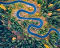 Aerial view of winding road in autumn forest.