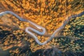 Aerial view of the winding road in autumn forest at sunset Royalty Free Stock Photo