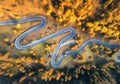 Aerial view of the winding road in autumn forest at sunset Royalty Free Stock Photo