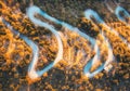 Aerial view of winding road in beautiful orange forest at sunrise Royalty Free Stock Photo