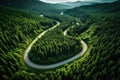 Aerial view of a winding road through the coniferous forest, Summer Pine Forest and Winding Curvy Road. Top Down Birds Eye View,