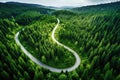 Aerial view of winding road in green coniferous forest, Summer Pine Forest and Winding Curvy Road, Top Down Birds Eye View, AI