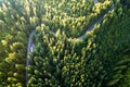 Aerial view of winding road in high mountain pass trough dense green pine woods Royalty Free Stock Photo