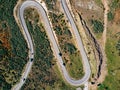 Aerial view of winding road. Highway through the woodland