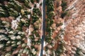 Aerial view of a winding road surrounded by a lush canopy of tall trees