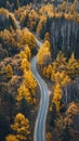 An aerial view of a winding road through the woods, AI Royalty Free Stock Photo
