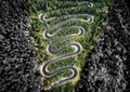 Aerial view of a winding road in the woods Royalty Free Stock Photo