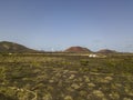 Aerial view of the wine cultivations on the volcanic soils of the island of Lanzarote. Canary Islands, Spain. Wine production