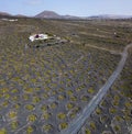 Aerial view of the wine cultivations on the volcanic soils of the island of Lanzarote. Canary Islands, Spain. Wine production