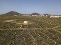 Aerial view of the wine cultivations on the volcanic soils of the island of Lanzarote. Canary Islands, Spain. Wine production