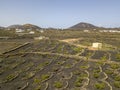 Aerial view of the wine cultivations on the volcanic soils of the island of Lanzarote. Canary Islands, Spain. Wine production