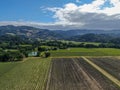 Aerial view of wine vineyard in Napa Valley Royalty Free Stock Photo