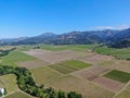 Aerial view of wine vineyard in Napa Valley Royalty Free Stock Photo