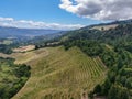 Aerial view of wine vineyard in Napa Valley Royalty Free Stock Photo