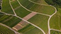 aerial view of winegrower in germany, grape fields and roads, summer Royalty Free Stock Photo