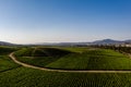 Aerial view of vineyard at Casablanca, Chile