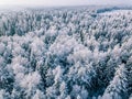 Aerial view of winter forest covered with snow, view from above Royalty Free Stock Photo