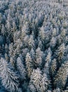 Aerial view of winter forest covered with snow, view from above Royalty Free Stock Photo