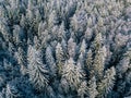 Aerial view of winter forest covered with snow, view from above Royalty Free Stock Photo