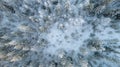 Aerial view of winter forest covered in snow. drone photography - panoramic image Beautiful frosty trees, christmas time, Happy Royalty Free Stock Photo